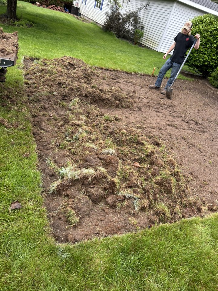 Professional Sod Installation