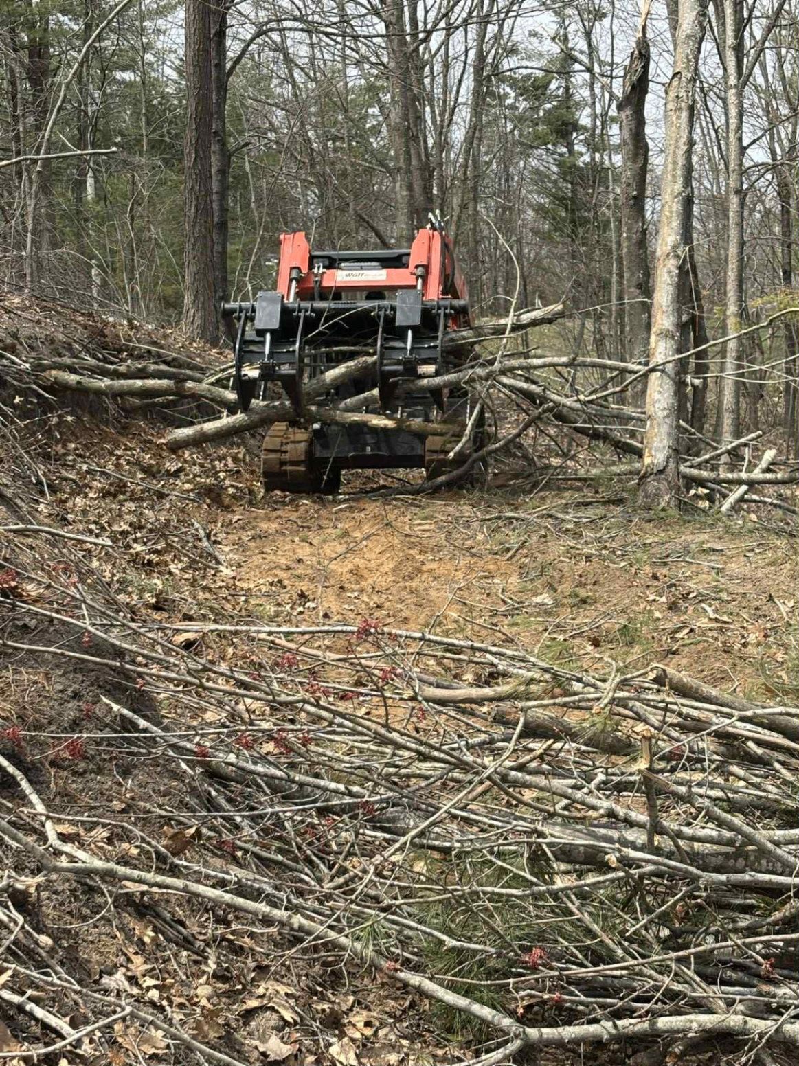 Forest Debris Removal